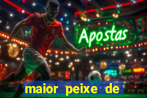 maior peixe de couro do brasil